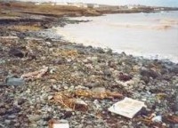 /album/fotogaleria-galeria/fotos-prezi-comprimidas-31-jpg1/